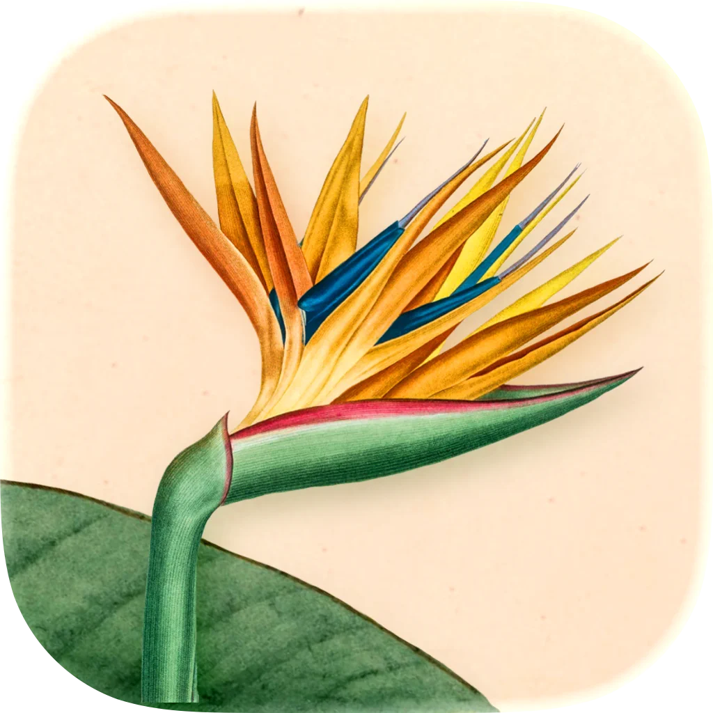 Art of Flora: Cozy Puzzles