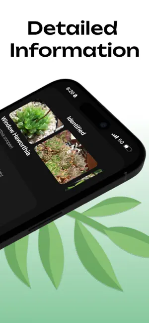 Succulent Identifier screenshot 3