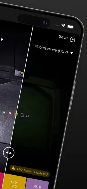 PRESIDIUM - Detect LGD with AI screenshot 2