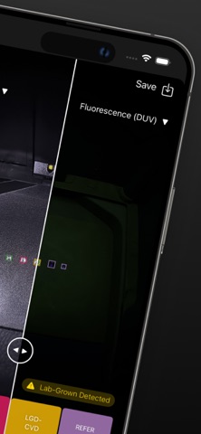 PRESIDIUM - Detect LGD with AI screenshot