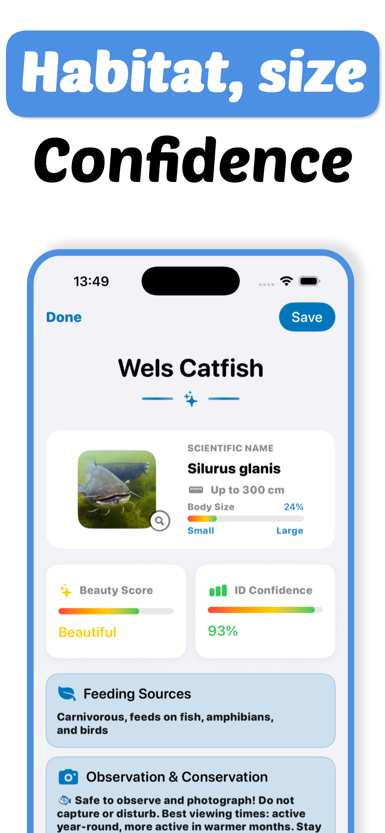 Fish Identifier - Fishy