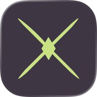 InCaraX screenshot 2