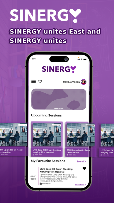 Sinergy Belgrade Screenshot