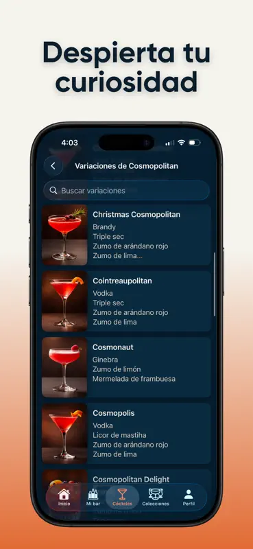 BarKeeper: Receitas Drinks screenshot 6 of 9