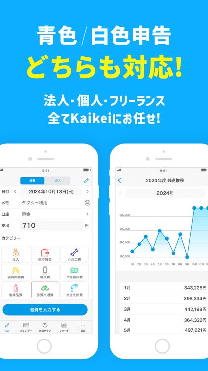 Small Biz Budget - Accounting screenshot-3