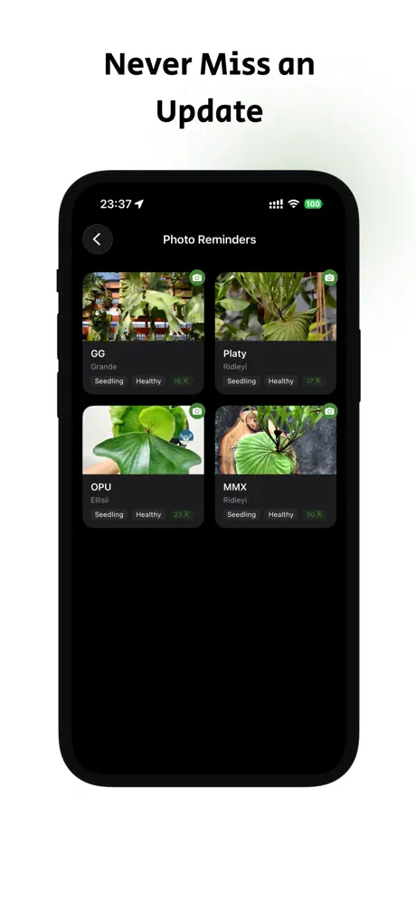 Species identification profiles