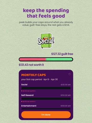 Peek - AI Personal Finance App iPad screenshot