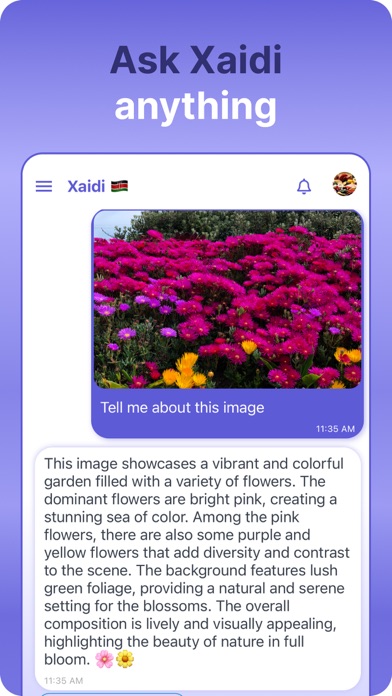 Xaidi Screenshot