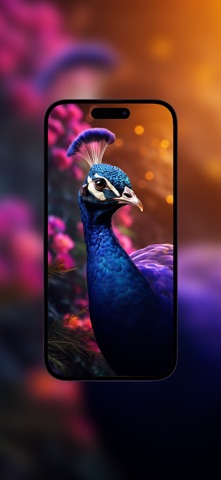 Peacock Wallpapers Screenshot 2 of 5
