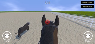 Rider Rodeo Screenshot 8 of 10