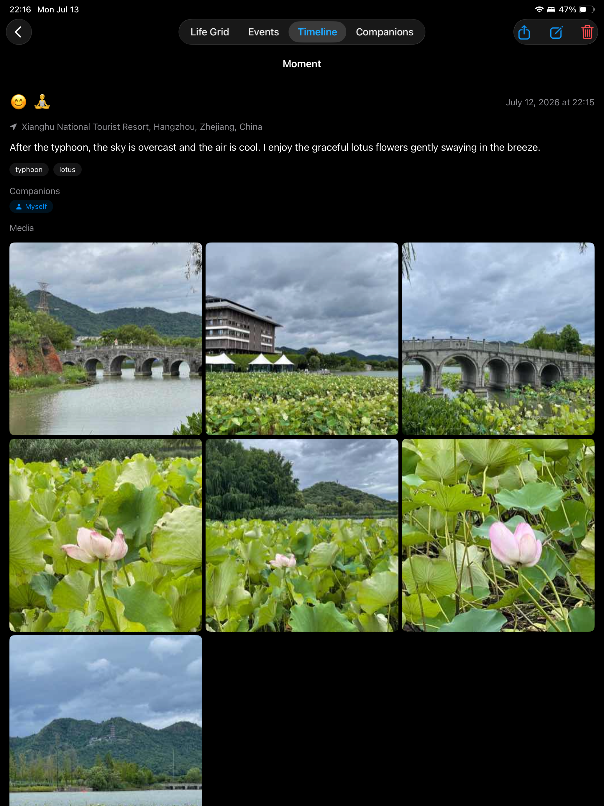 My Tempus Life Progress Widget screenshot 17