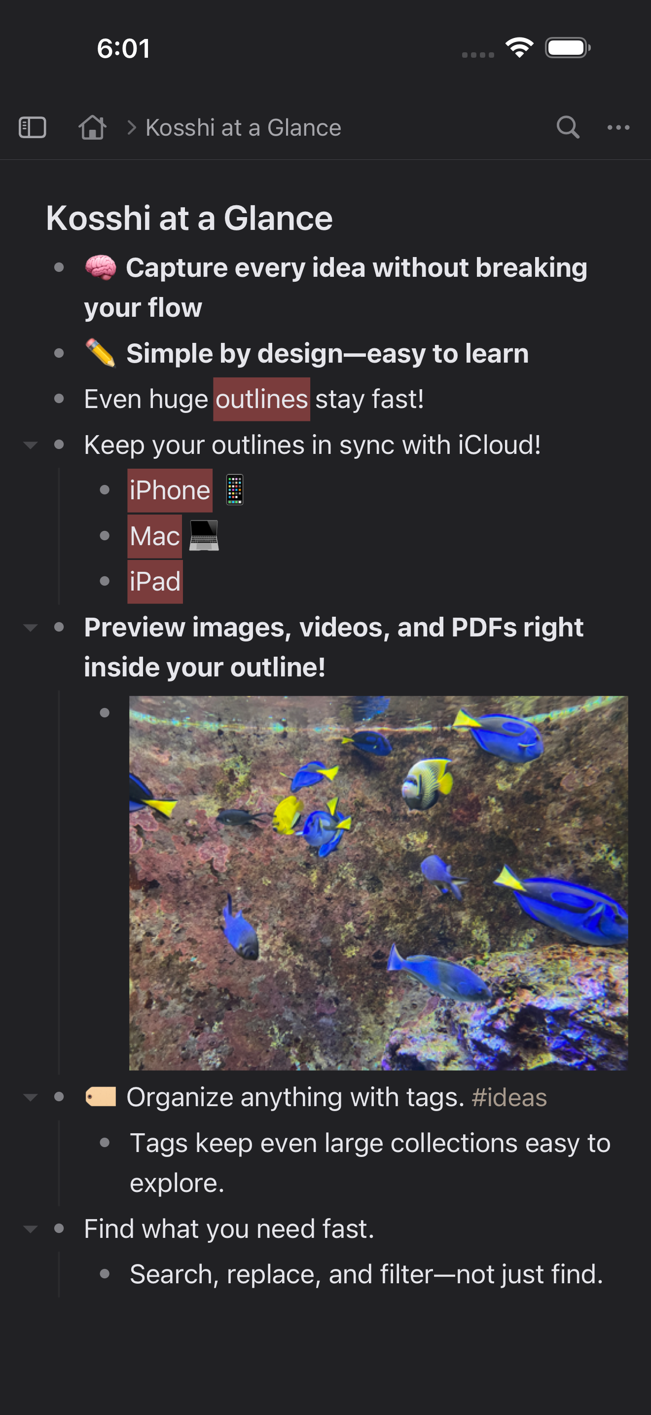Kosshi Outliner screenshot 6