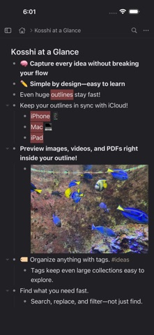 Kosshi Outliner Screenshot 6 of 6