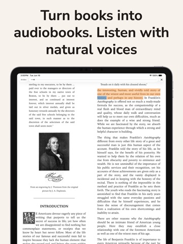 BookWave: EPUB & PDF Reader ipad screenshot 2