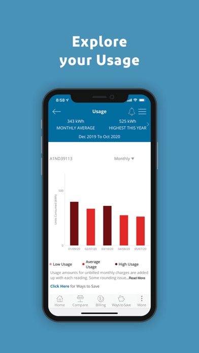 City Utilities – My Account Screenshot