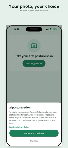 PosturePulse iPhone screenshot
