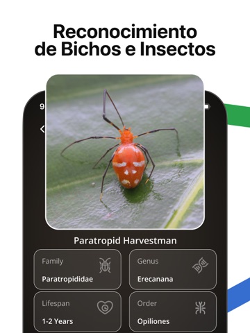 Lens AI: Identify Anything iPad screenshot 9