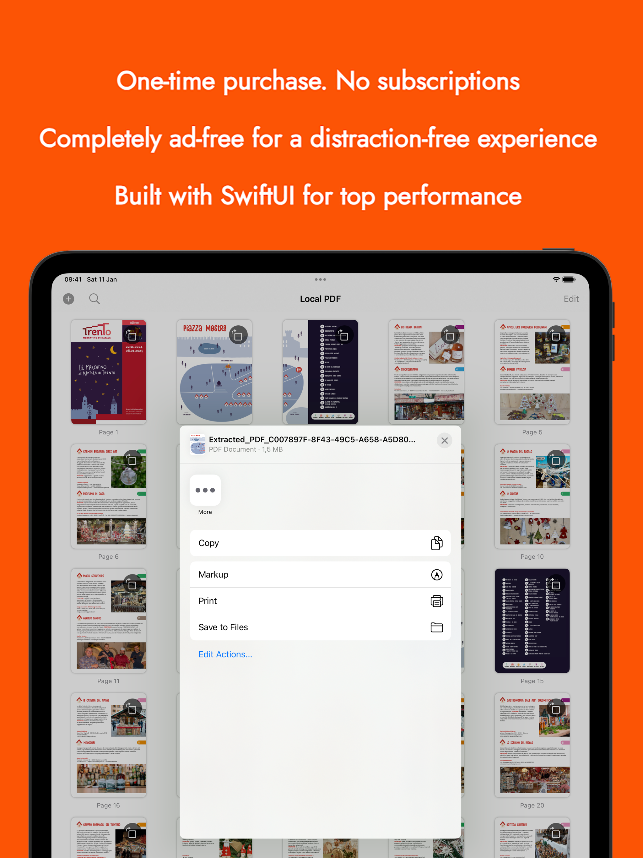Local PDF screenshot 16
