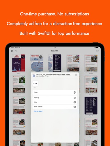 Local PDF iPad screenshot