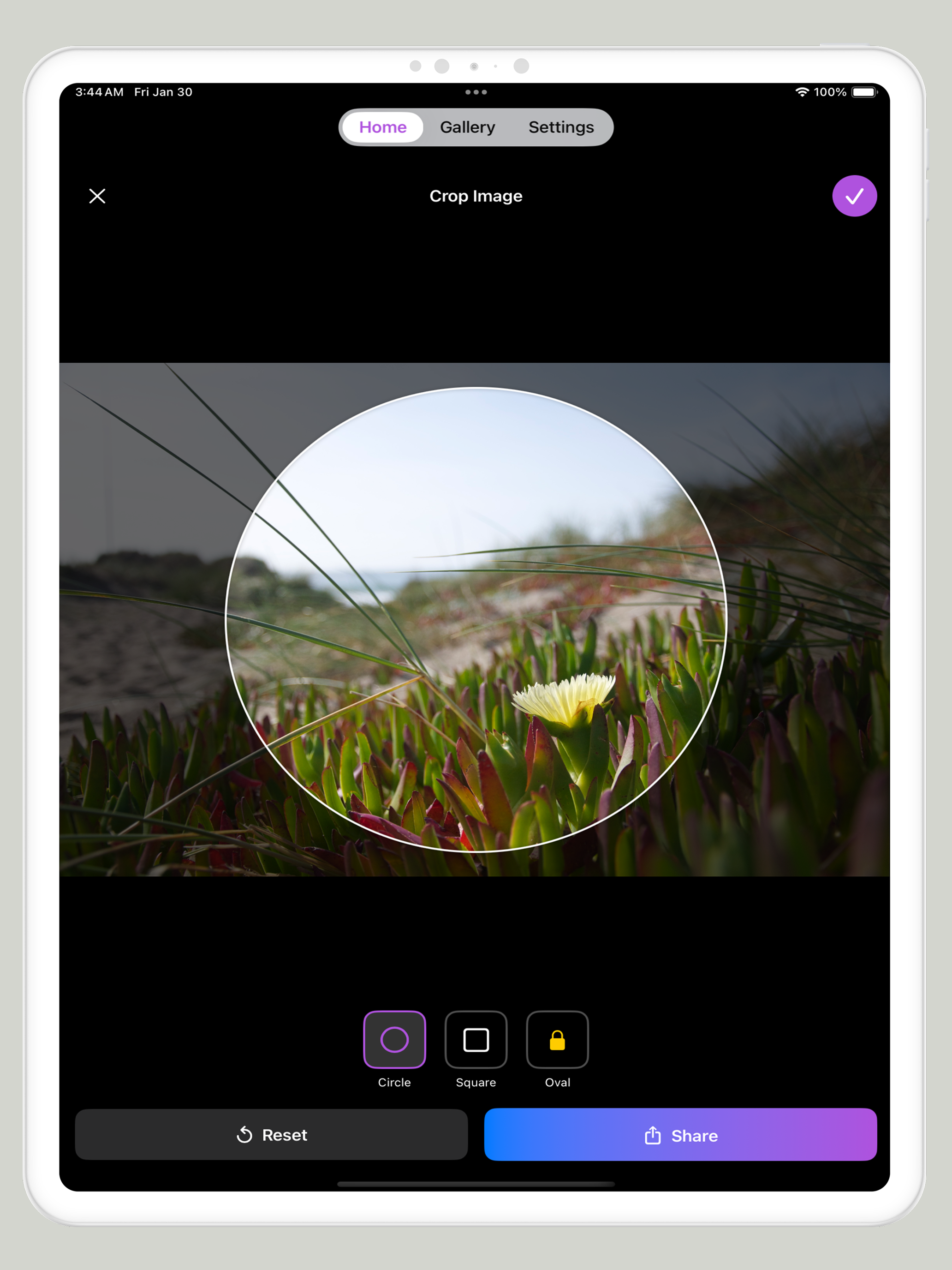 Circle Crop Image
