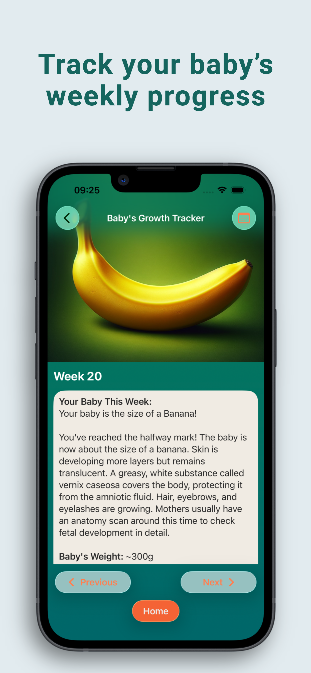 Pregnancy Food Checker & Guide