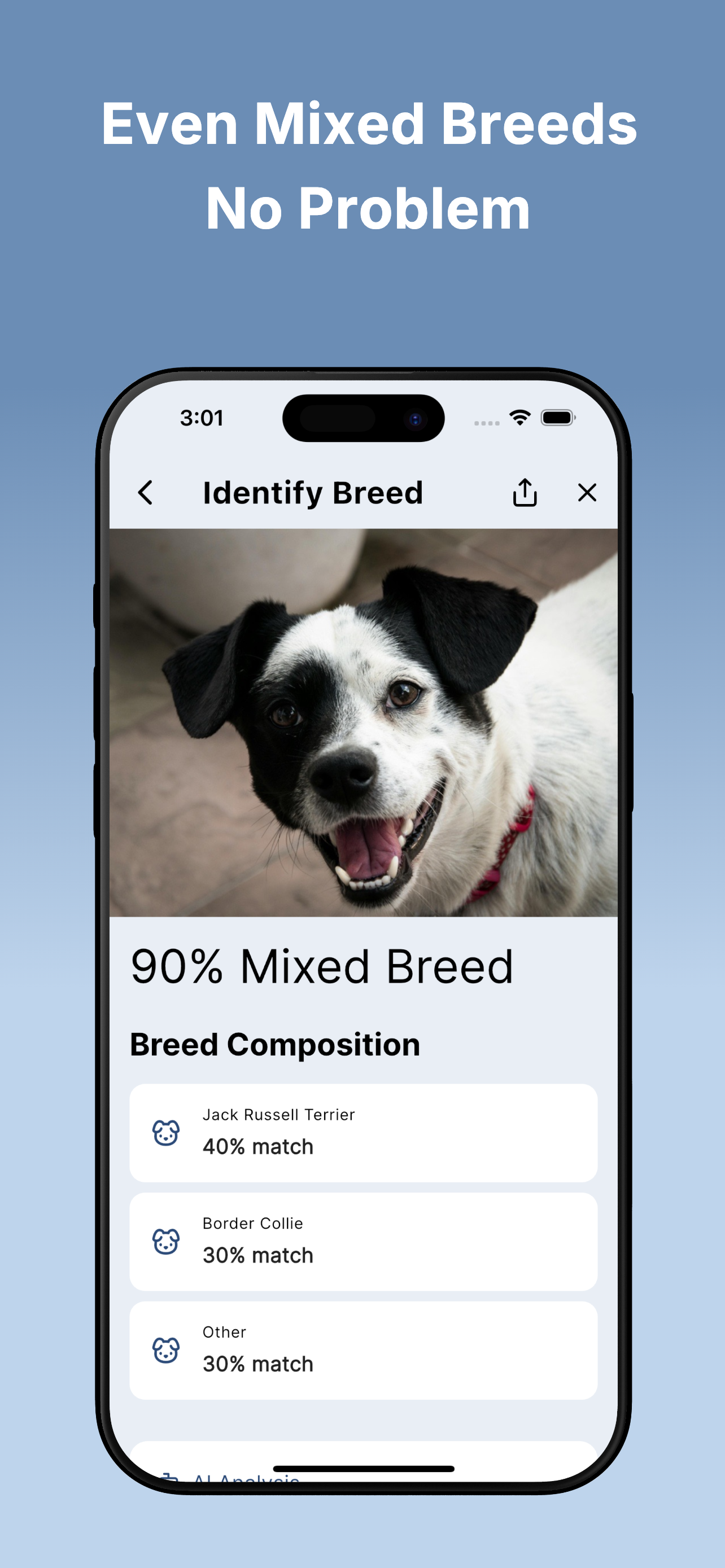 Dog Breed Identifier: DogLens