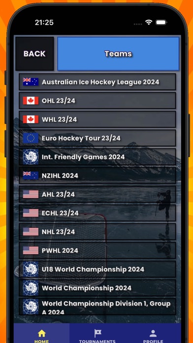 AI Hockey Simulator Pro GM Screenshot