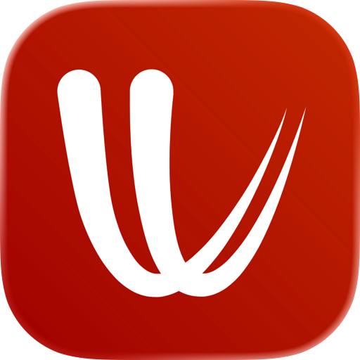 Windy.com