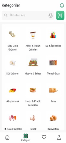 Sayili Express screenshot