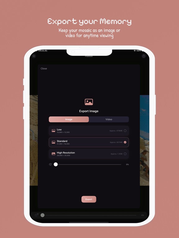 Mozary iPad screenshot
