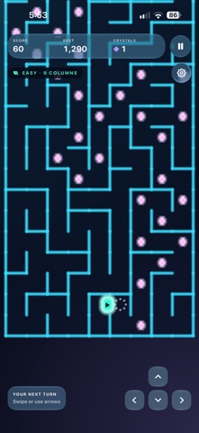Lumizig screenshot 3