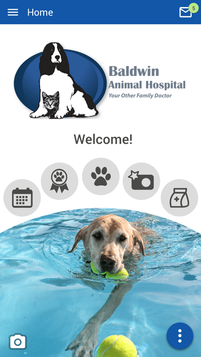 Baldwin Animal Hospital NY Screenshot