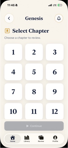 VerseFlip screenshot