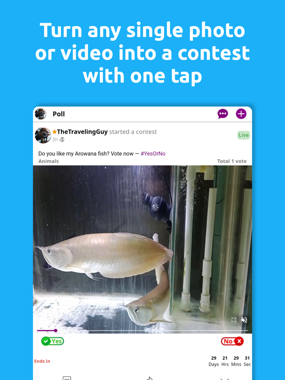 MaxVot Social Media iPad screenshot 2 - Social Networking app