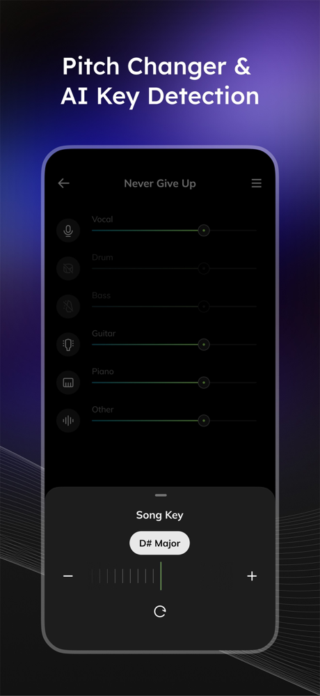 Vocal Remover - Musiclab screenshot 8