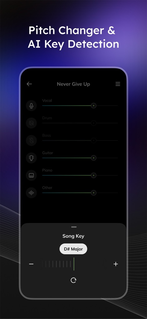 Vocal Remover - Musiclab - Users can effortlessly change the pitch and detect the key of their audio, utilizing a clear 'Song Key' display and an intuitive pitch adjustment slider.