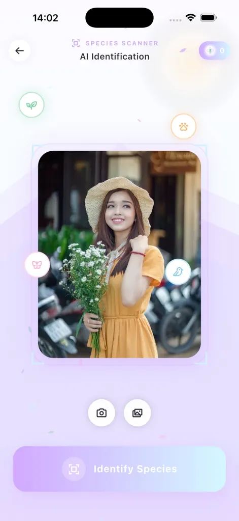 SDate- - Sports App | MWM