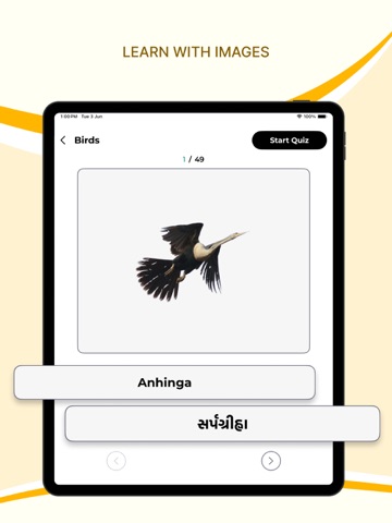 Learn English Through Gujarati iPad screenshot