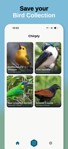Bird Call Identifier -BirdTune Screenshot 6 of 6