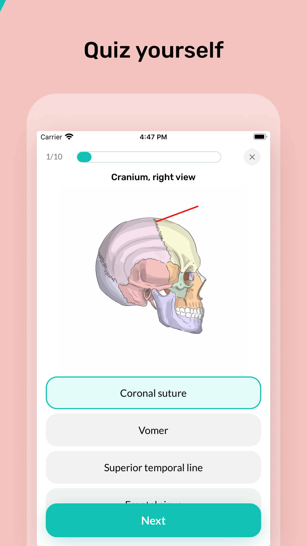 Easy Anatomy 3D screenshot 4
