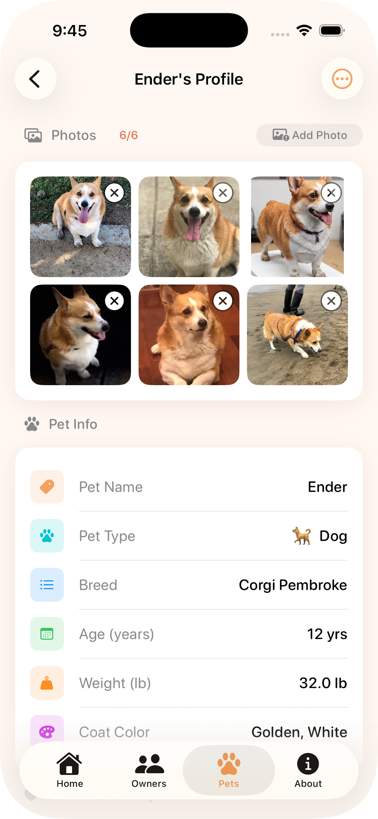 PawBoarding screenshot 7
