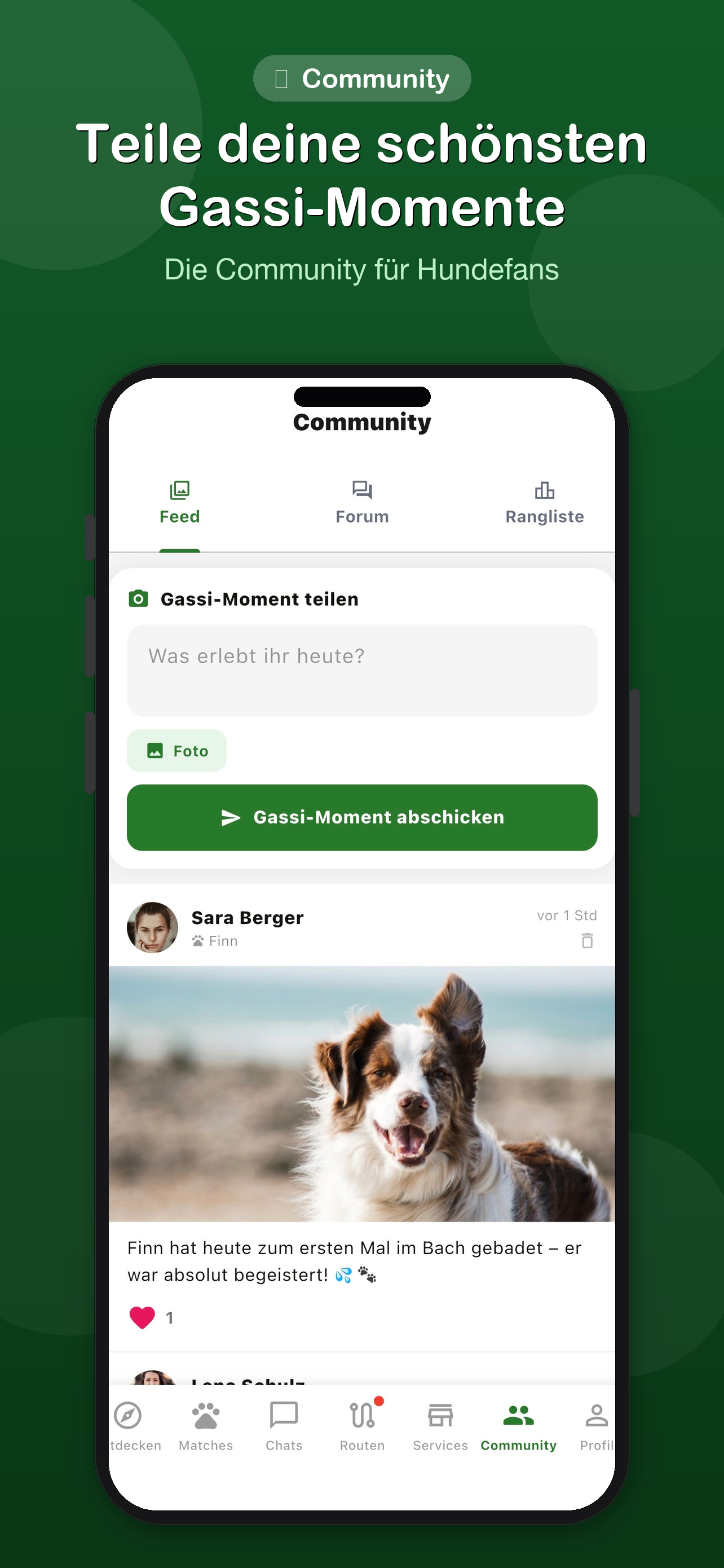 Walking Dog – Gassi Freunde