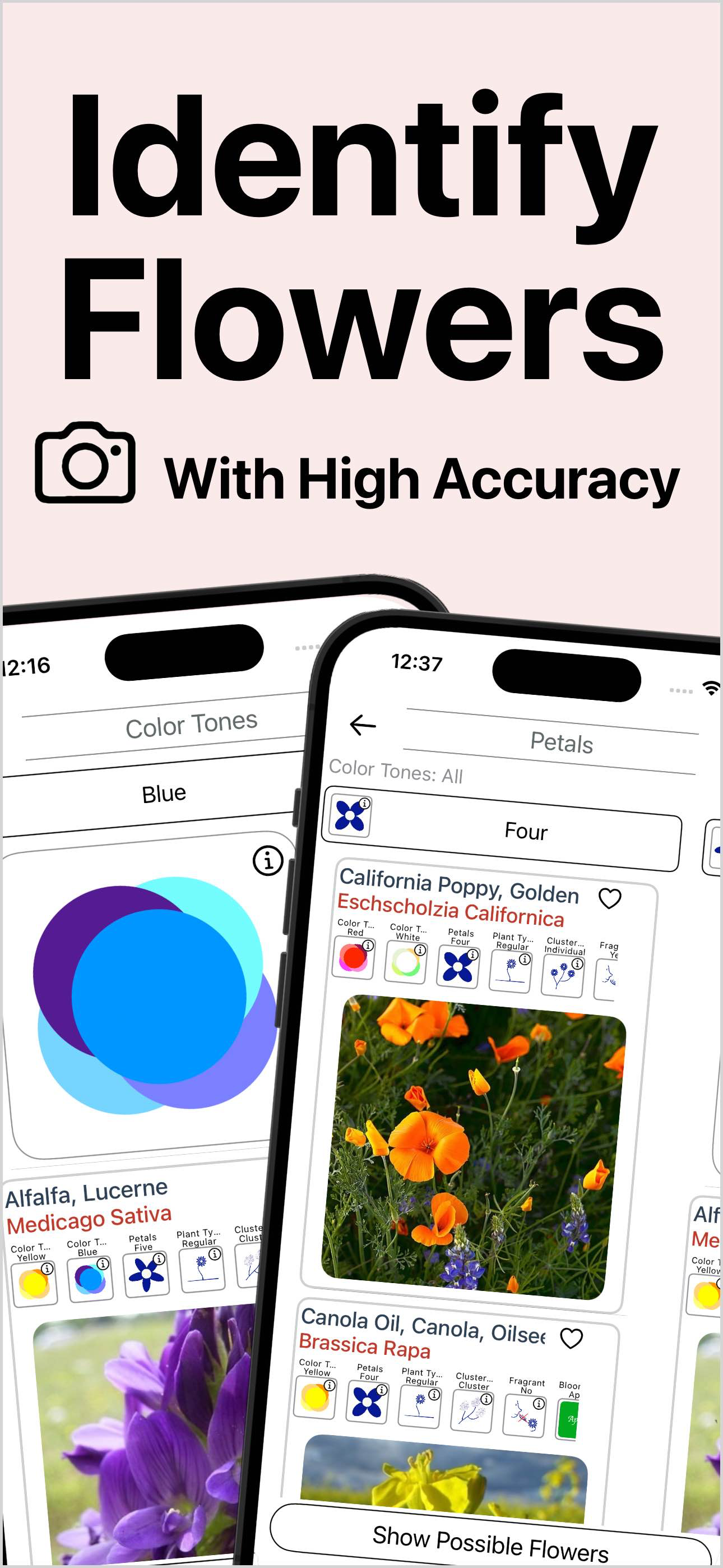 Flower Identification & Garden