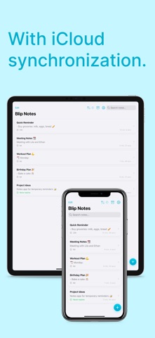 Blip Notes screenshot