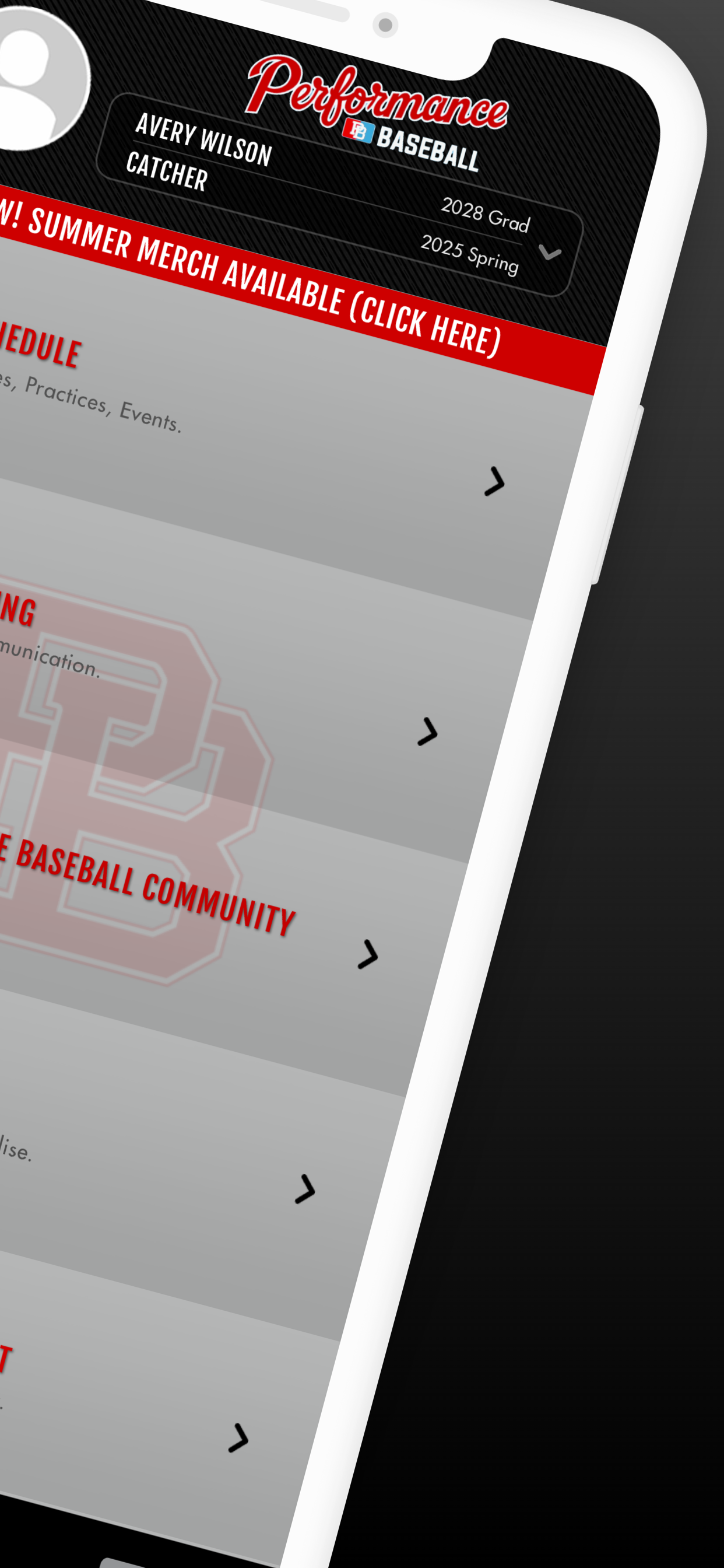 Performance Baseball