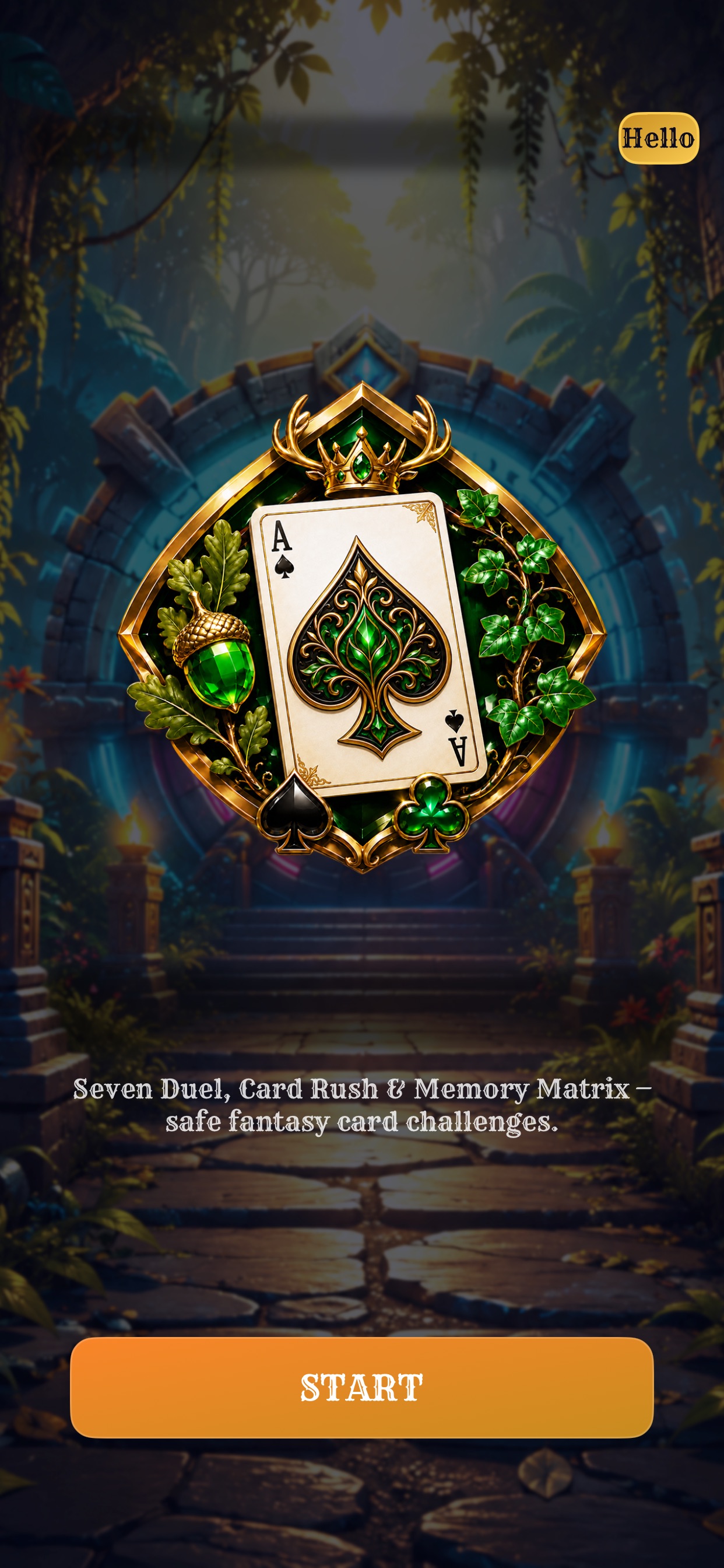 Screenshot 2 of Eldvora MatrixCard