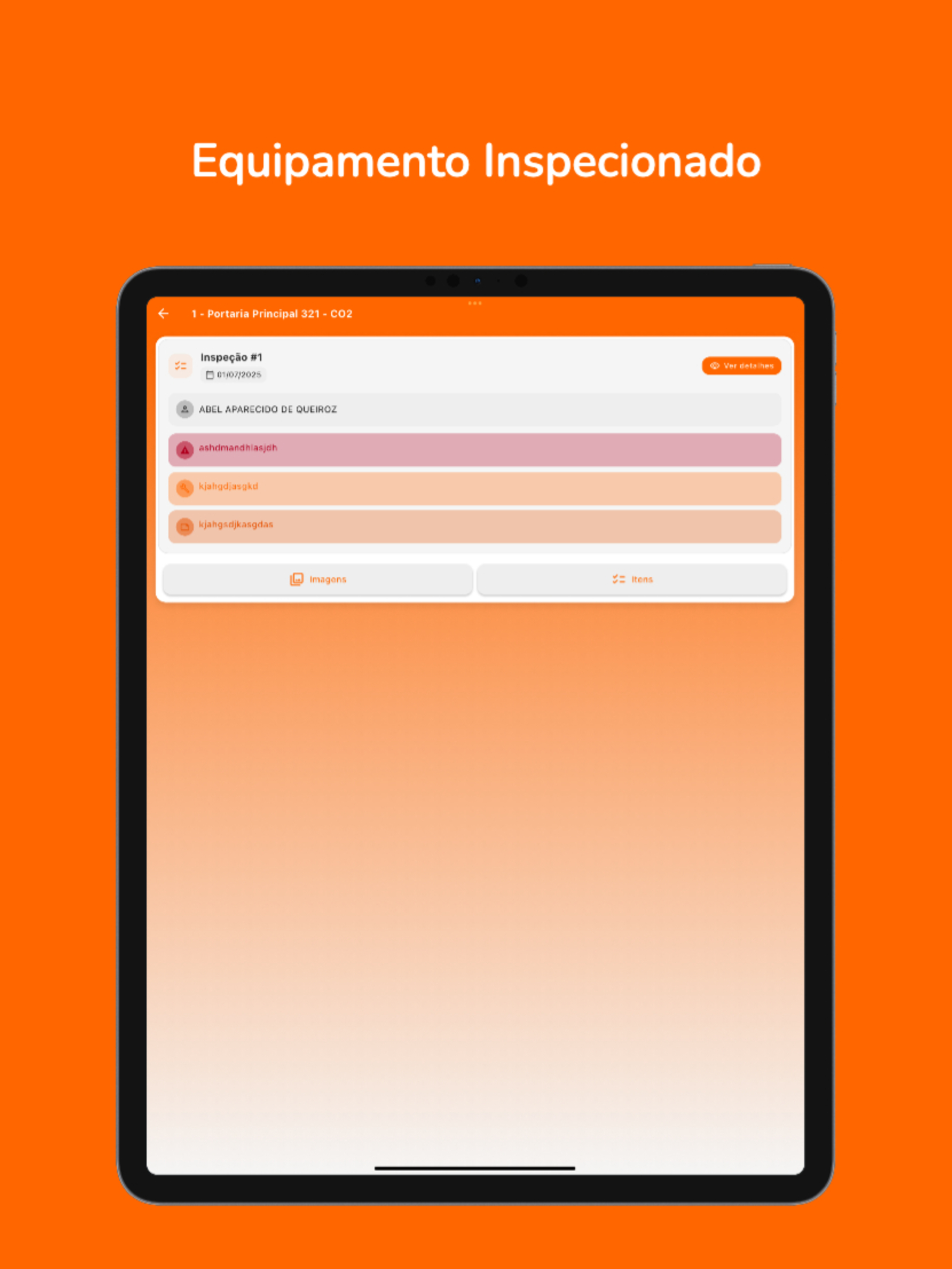Inspeções SESMT