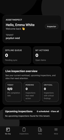 InspectAssets screenshot