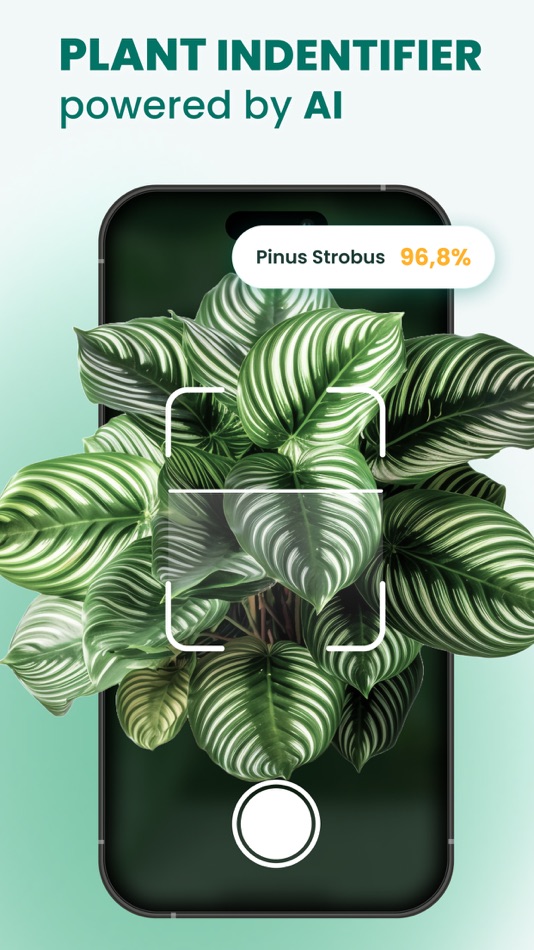#1. Plant & Leaf Identification (iOS) 由: Madduck