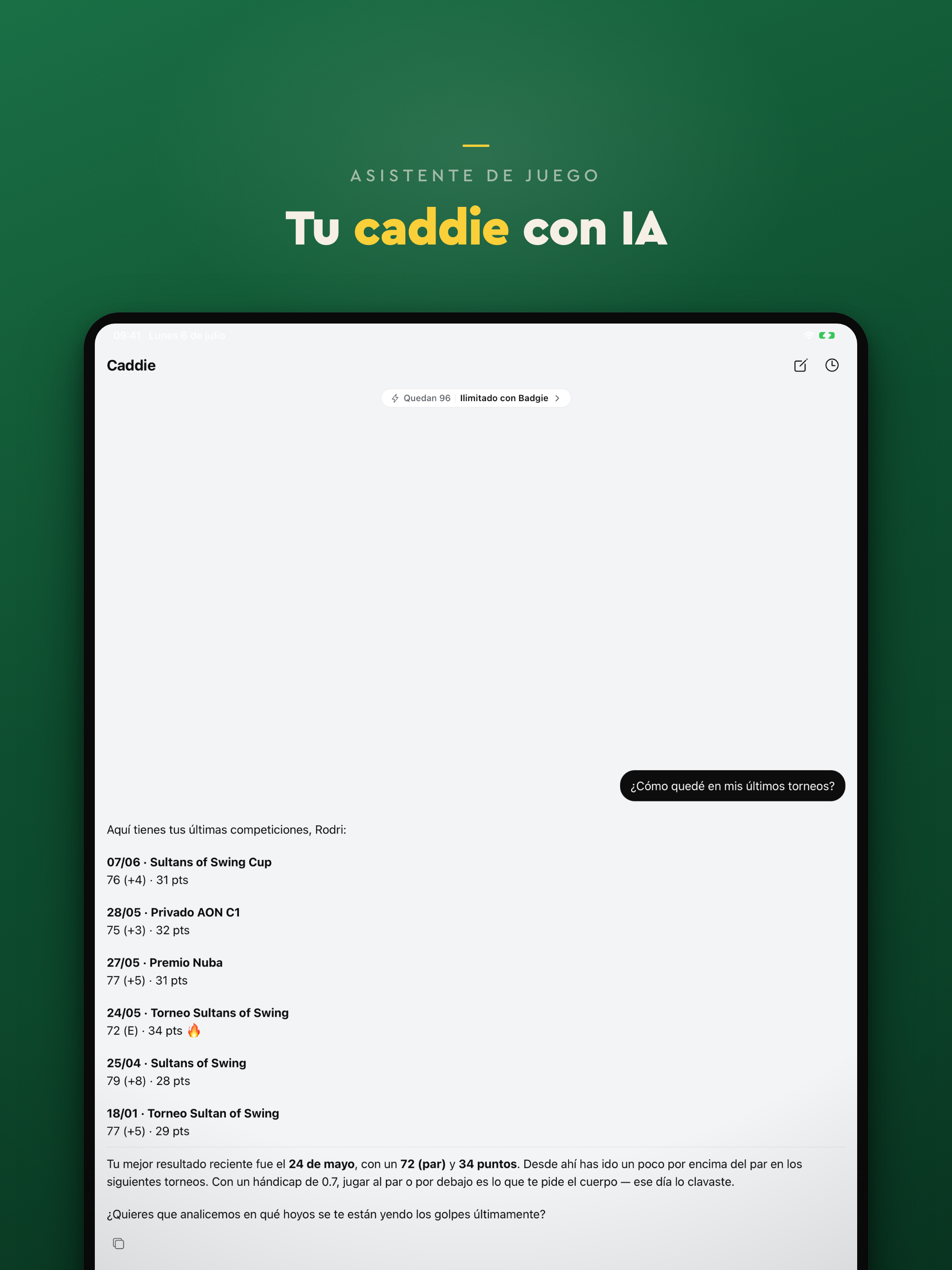 Badgie Golf screenshot 14